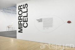 群展“鏡像細(xì)胞”日前在紐約惠特尼美國藝術(shù)博物館